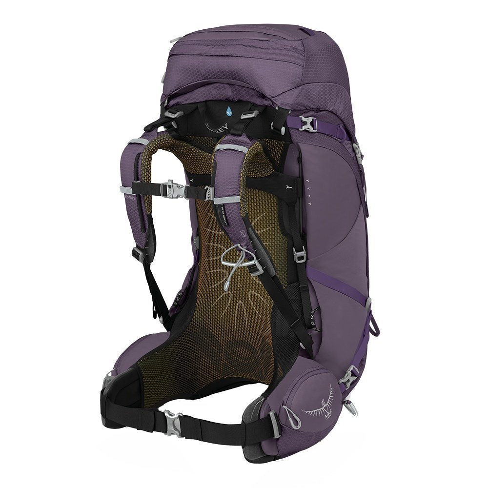 Osprey Aura Ag 50 Enchantment Purple WXS/S Backpack - Reisartikelen-nl