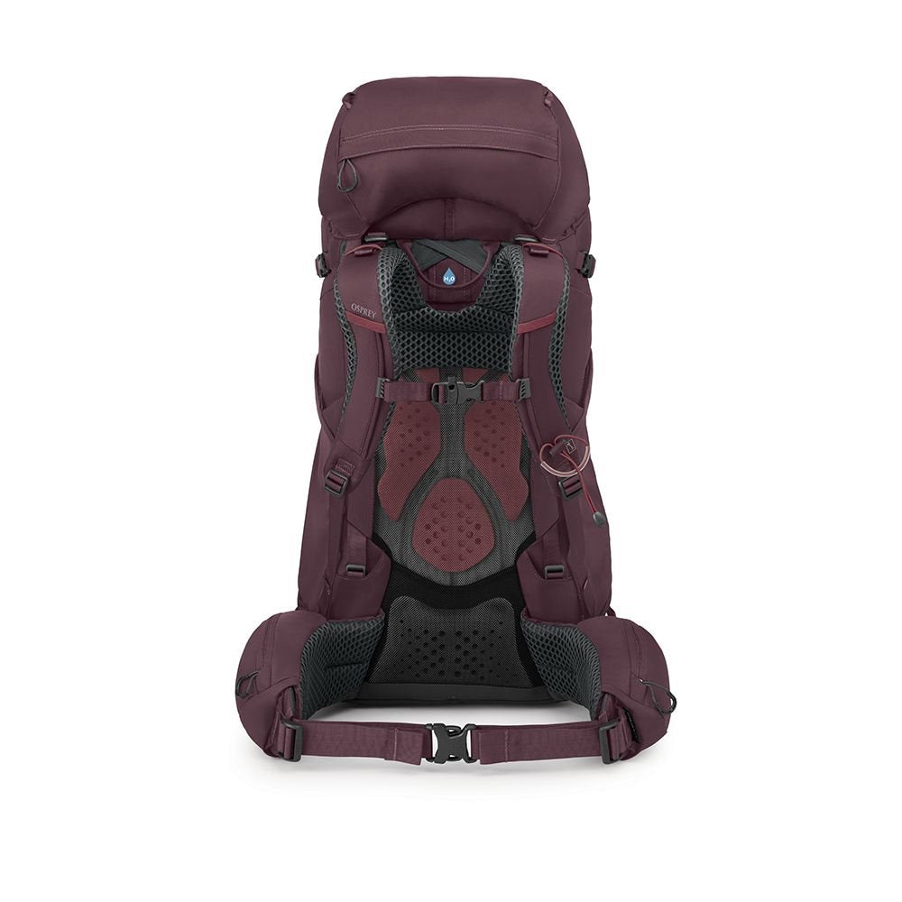 Osprey Kyte 58 Elderberry Purple  WM/L Backpack - Reisartikelen-nl