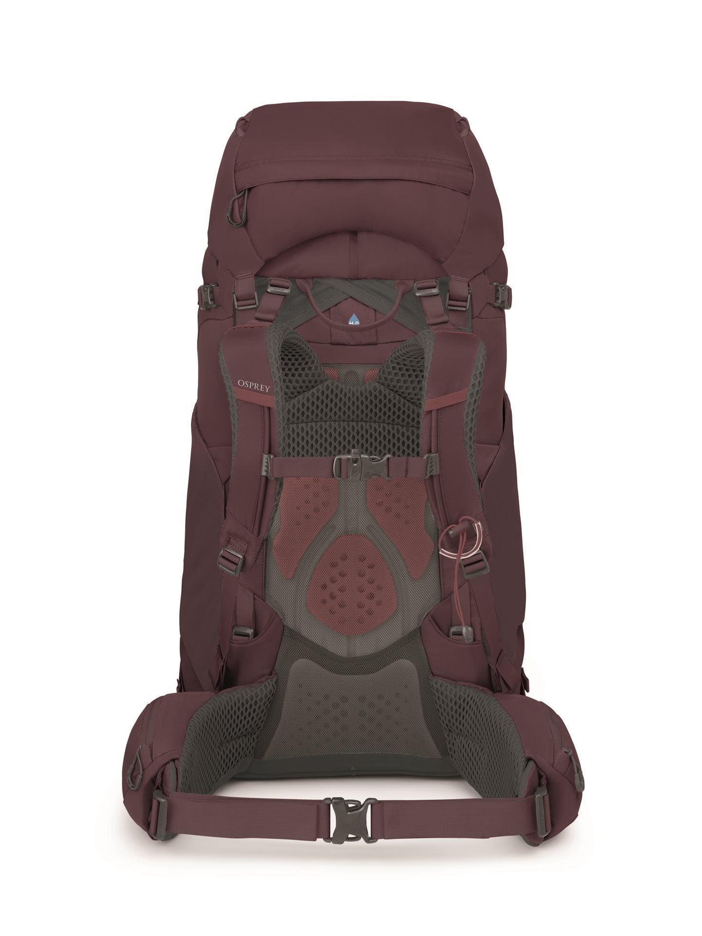 Osprey Kyte 68 Elderberry Purple WM/L Backpack - Reisartikelen-nl