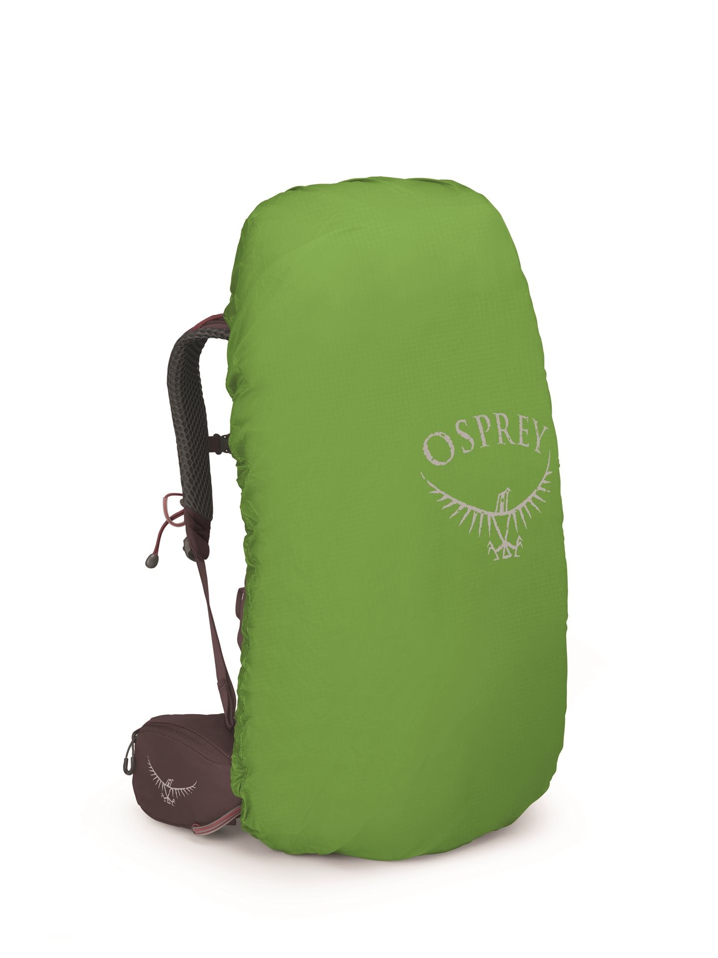 Osprey Kyte 48 Elderberry Purple WM/L Backpack - Reisartikelen-nl