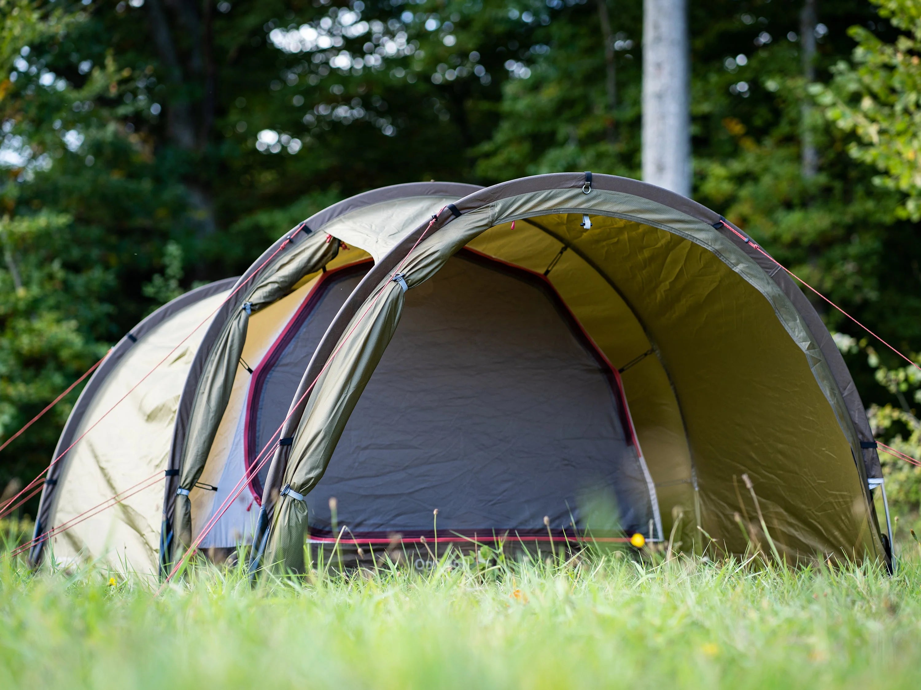 Nordisk Oppland 4 PU Tent - Dark Olive Tent - Reisartikelen-nl