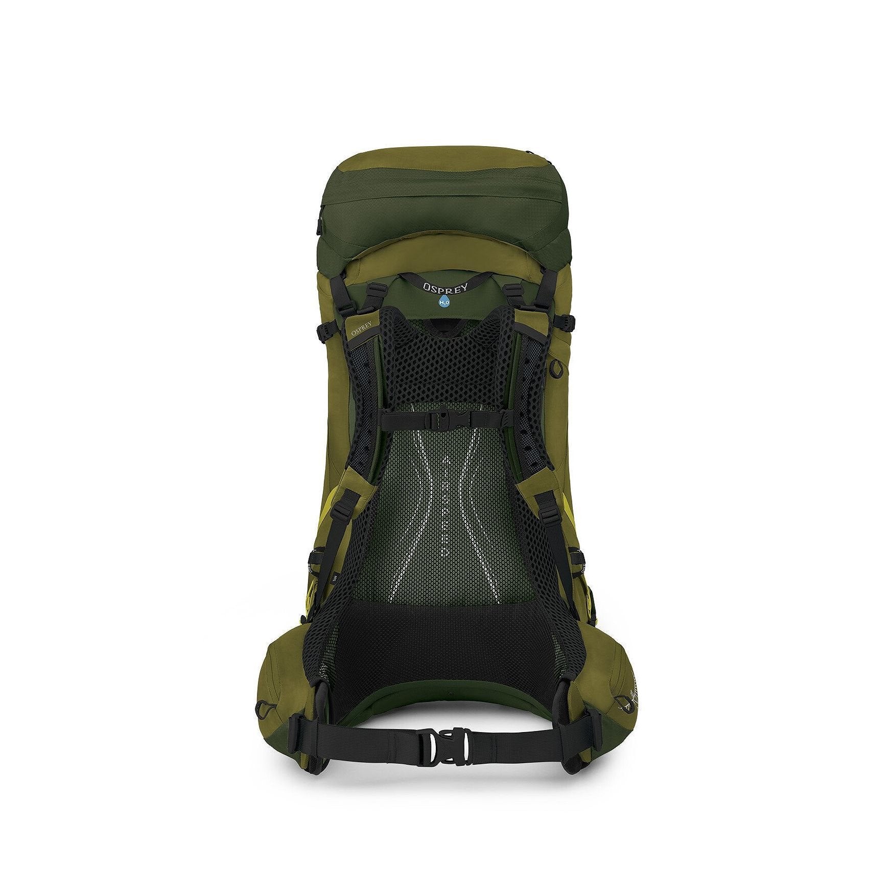 Osprey Atmos AG LT - 50L - Scenic Valley/Green Peppercorn - L/XL Backpack - Reisartikelen-nl