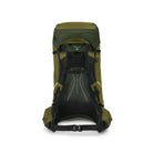 Osprey Atmos AG LT - 65L - Scenic Valley/Green Peppercorn - L/XL Backpack - Reisartikelen-nl