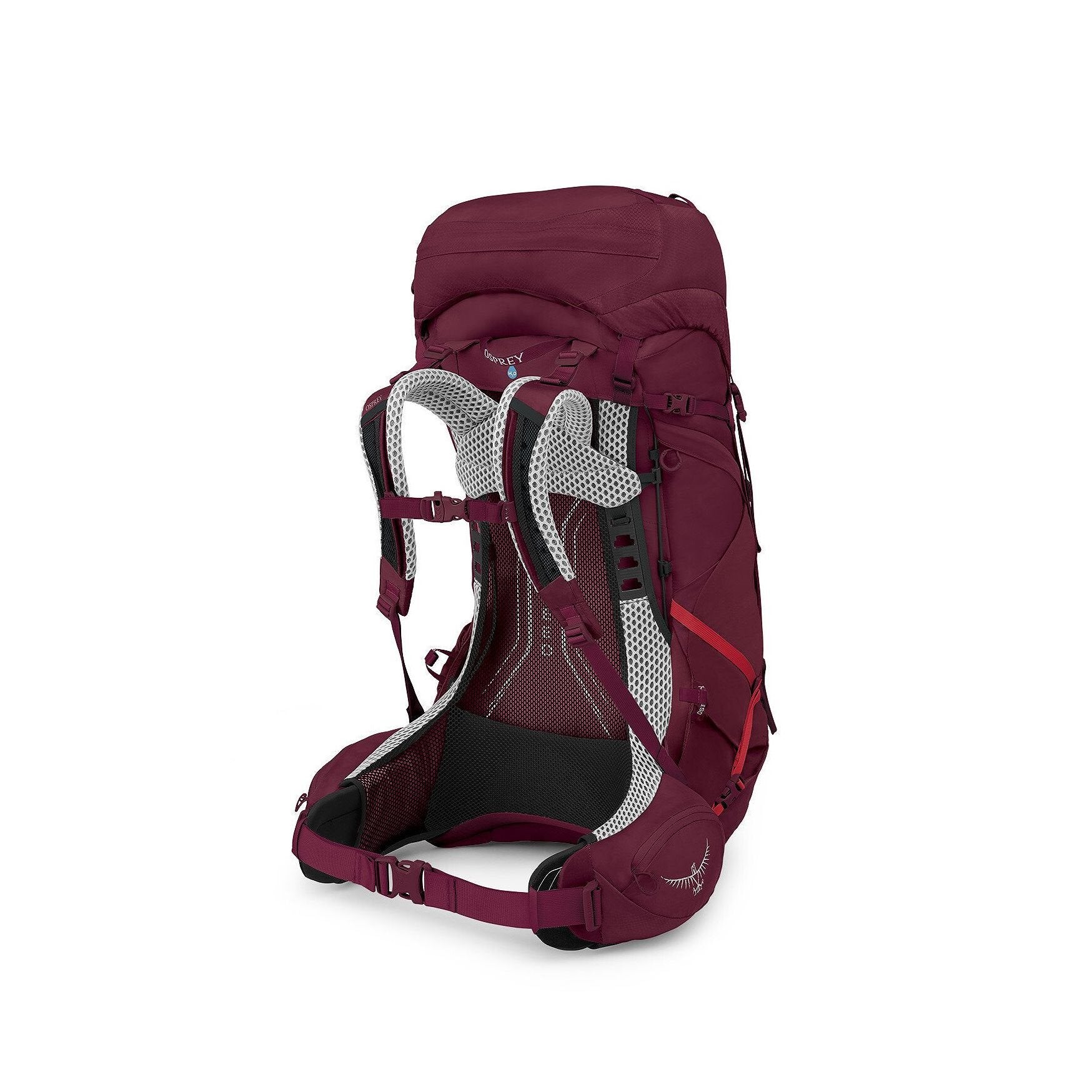 Osprey Aura AG LT - 50L - Antidote Purple - WM/L Backpack - Reisartikelen-nl