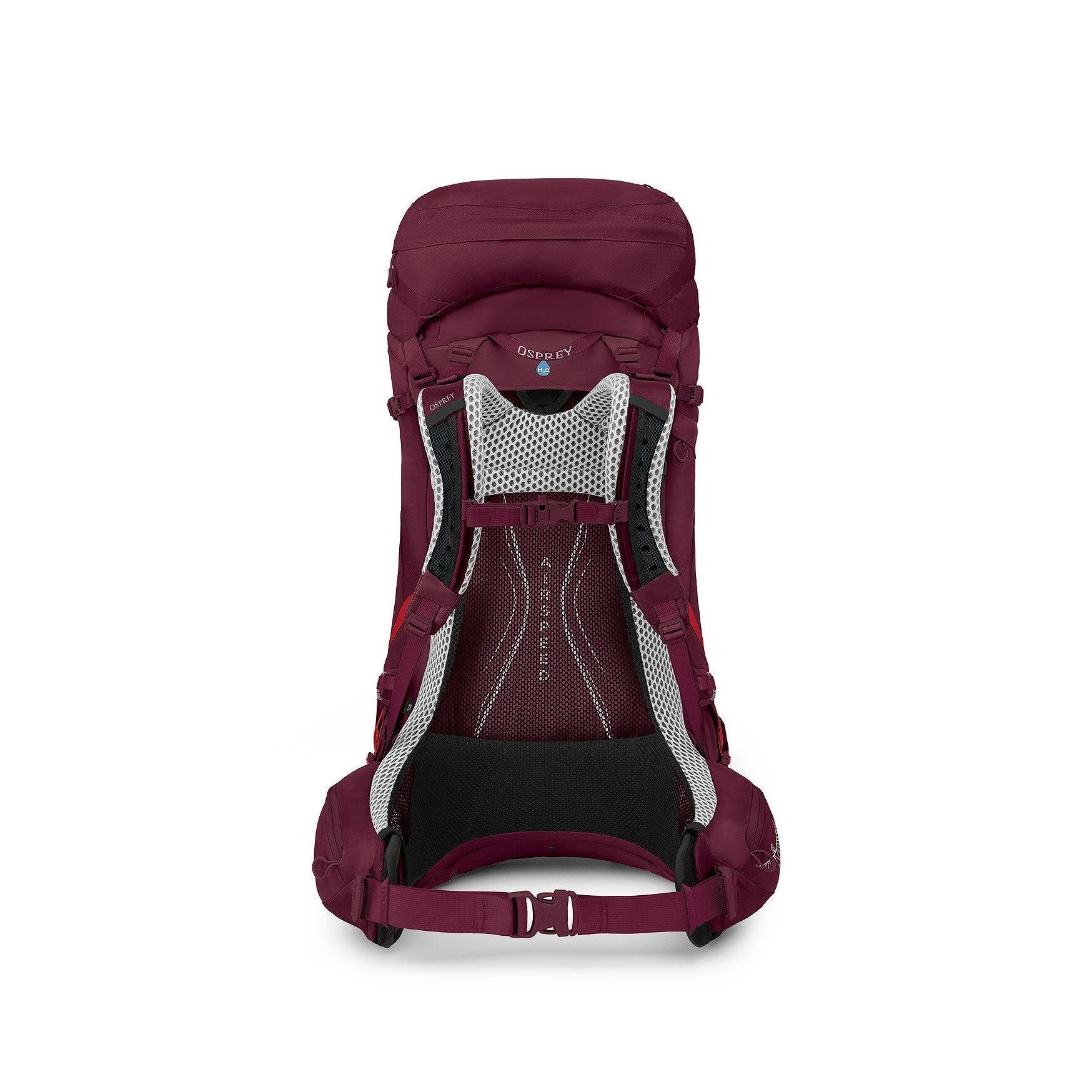 Osprey Aura AG LT - 50L - Antidote Purple - WM/L Backpack - Reisartikelen-nl