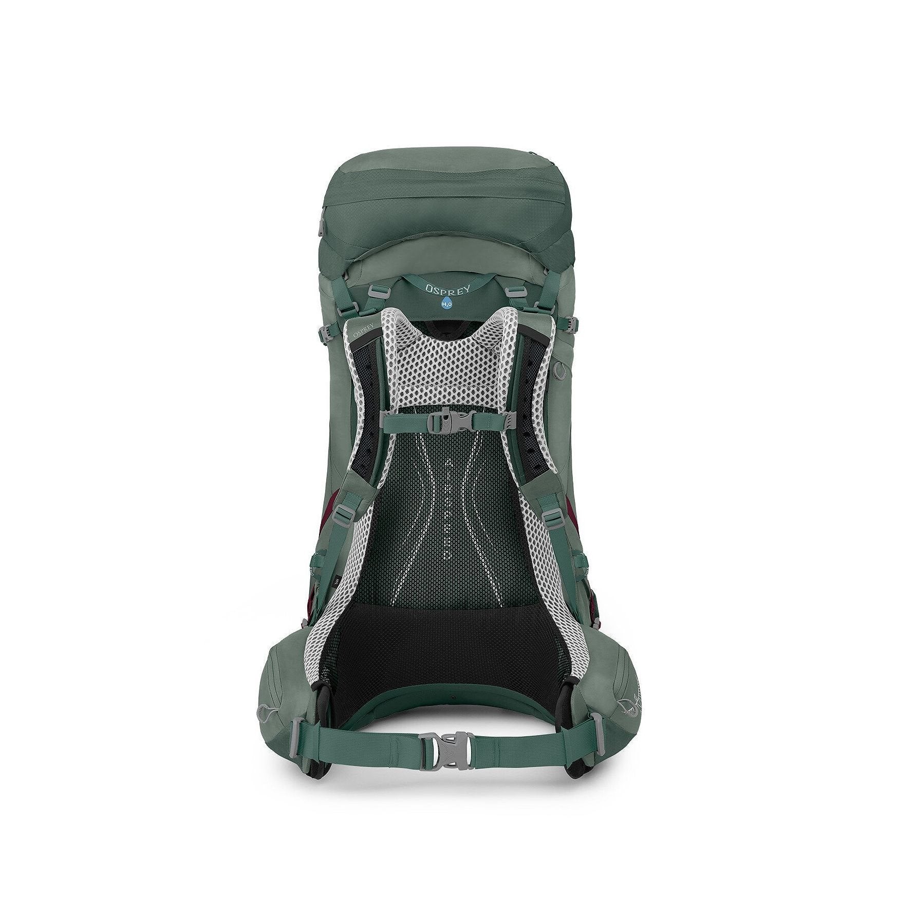 Osprey Aura AG LT - 50L - Koseret/Darjeeling Spring Green - WM/L Backpack - Reisartikelen-nl