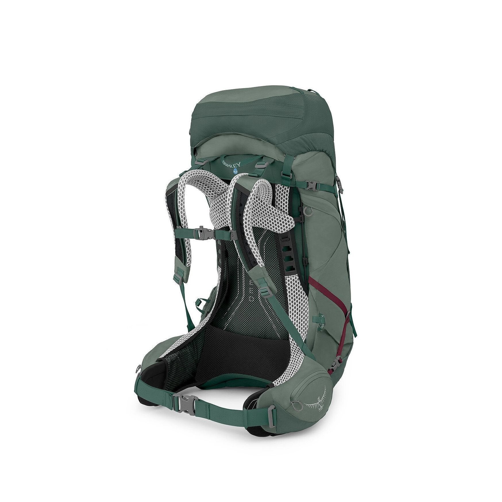 Osprey Aura AG LT - 50L - Koseret/Darjeeling Spring Green - WM/L Backpack - Reisartikelen-nl