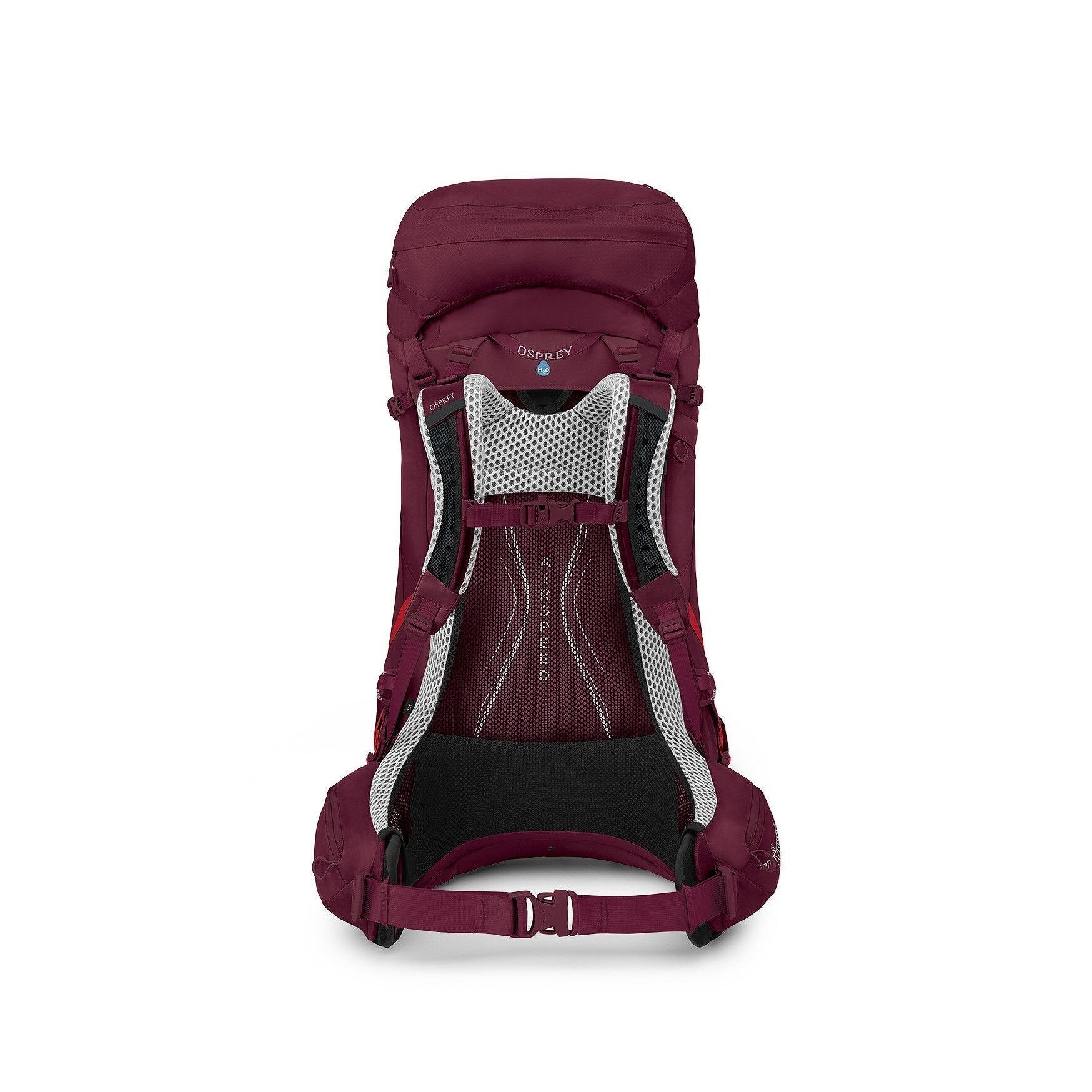 Osprey Aura AG LT - 50L - Antidote Purple - WXS/S Backpack - Reisartikelen-nl