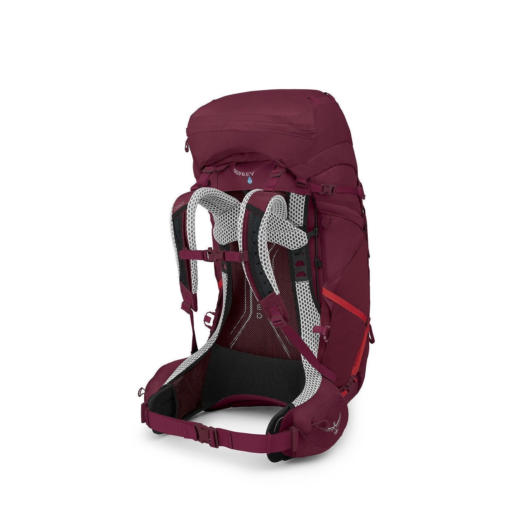 Osprey Aura AG LT - 65L - Antidote Purple - WM/L Backpack - Reisartikelen-nl