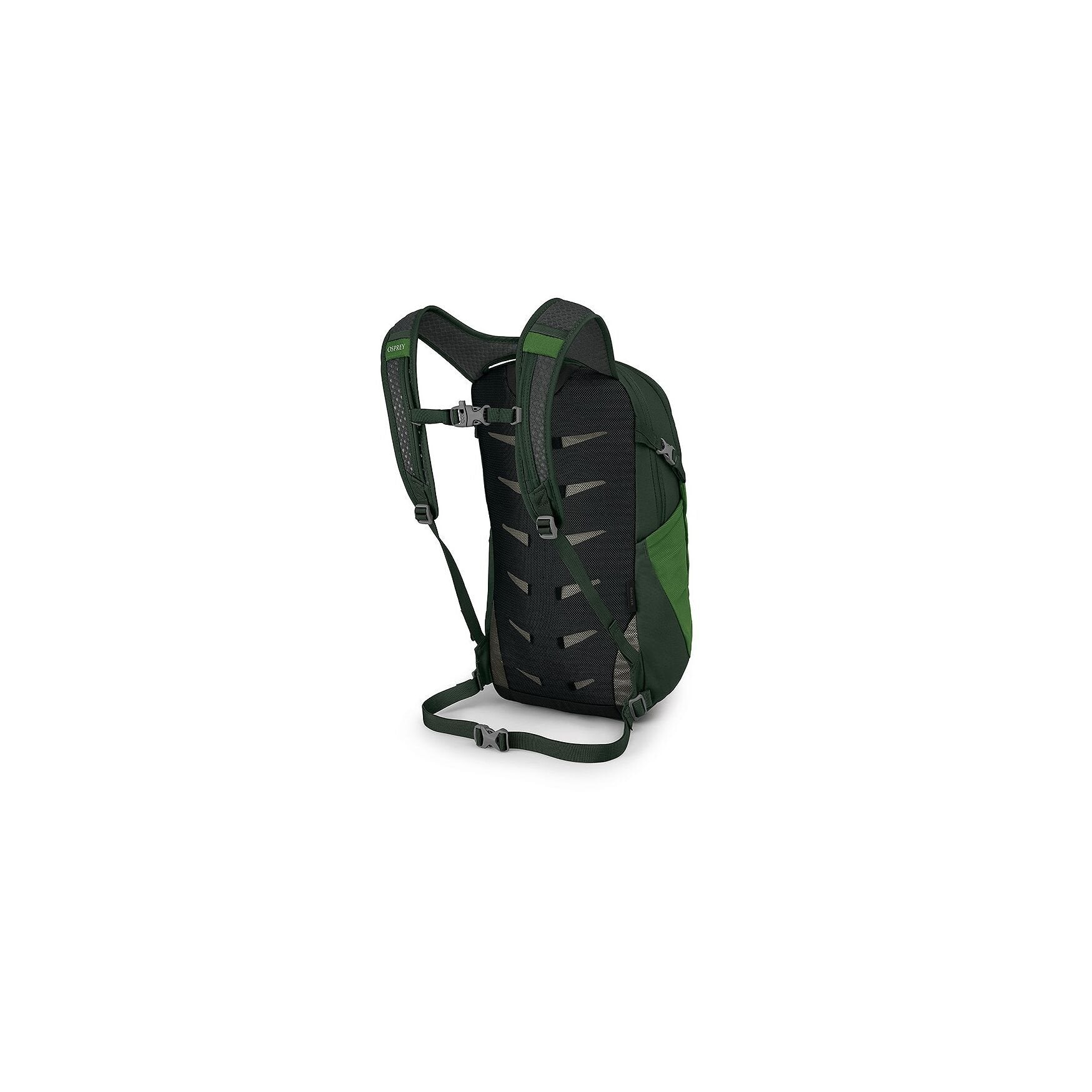 Osprey Daylite - 13L - Green Belt/Green Canopy Rugzak - Reisartikelen-nl