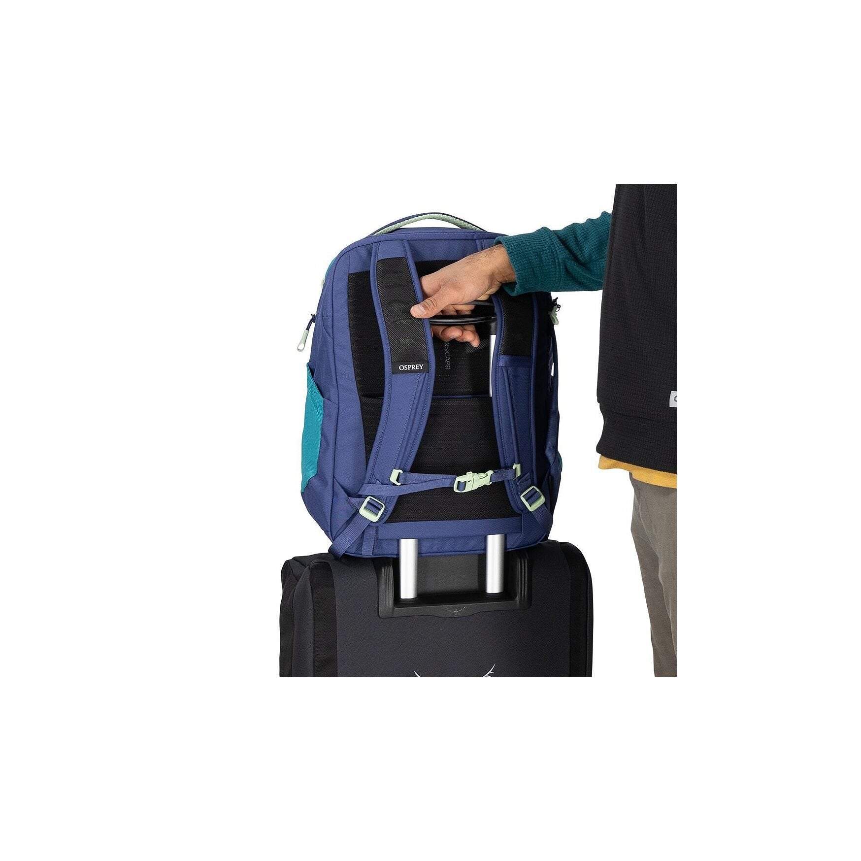 Osprey Daylite Expdbl Travel Pack - 26+6L - Blue Spikemoss/Alkaline Rugzak - Reisartikelen-nl