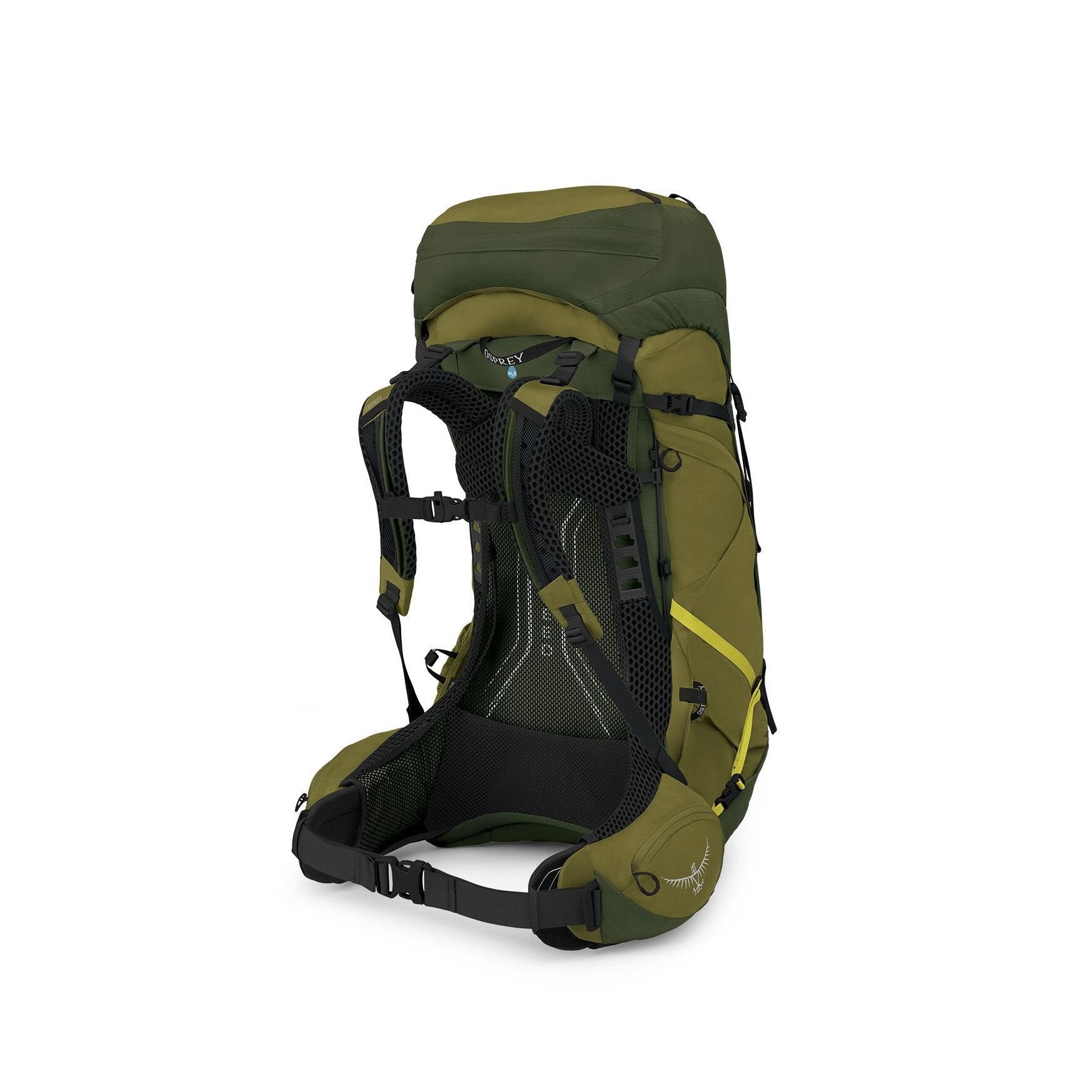 Osprey Atmos AG LT - 50L - Scenic Valley/Green Peppercorn - L/XL Backpack - Reisartikelen-nl